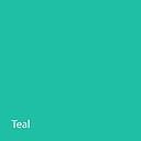 CHAIN ELASTIC TEAL CONTINUOUS 15'