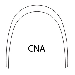 [100-954] 016X022 LOWER BETA TITANIUM CNA PROFORM WIRE (5)